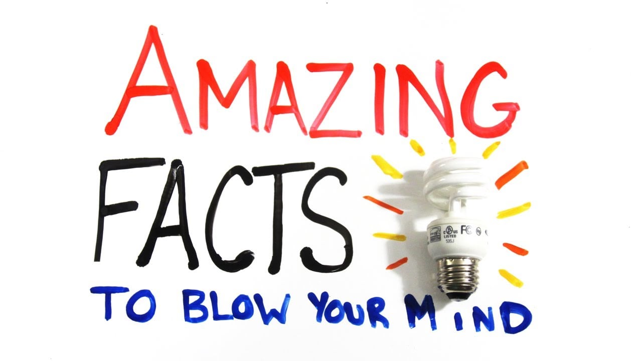 amazing-facts-that-will-blow-your-mind-thumper-massager